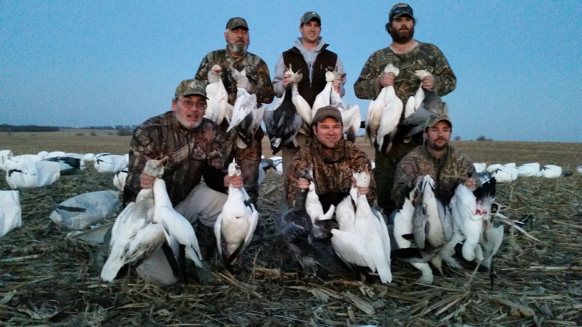 Missouri Snow Goose Hunting Photo